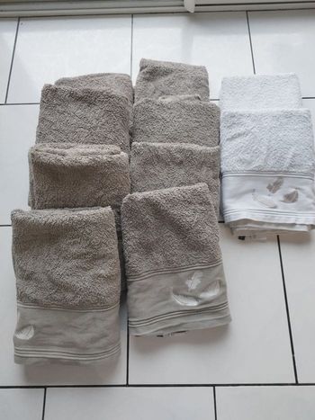 Lot de 10 serviettes éponges plumes