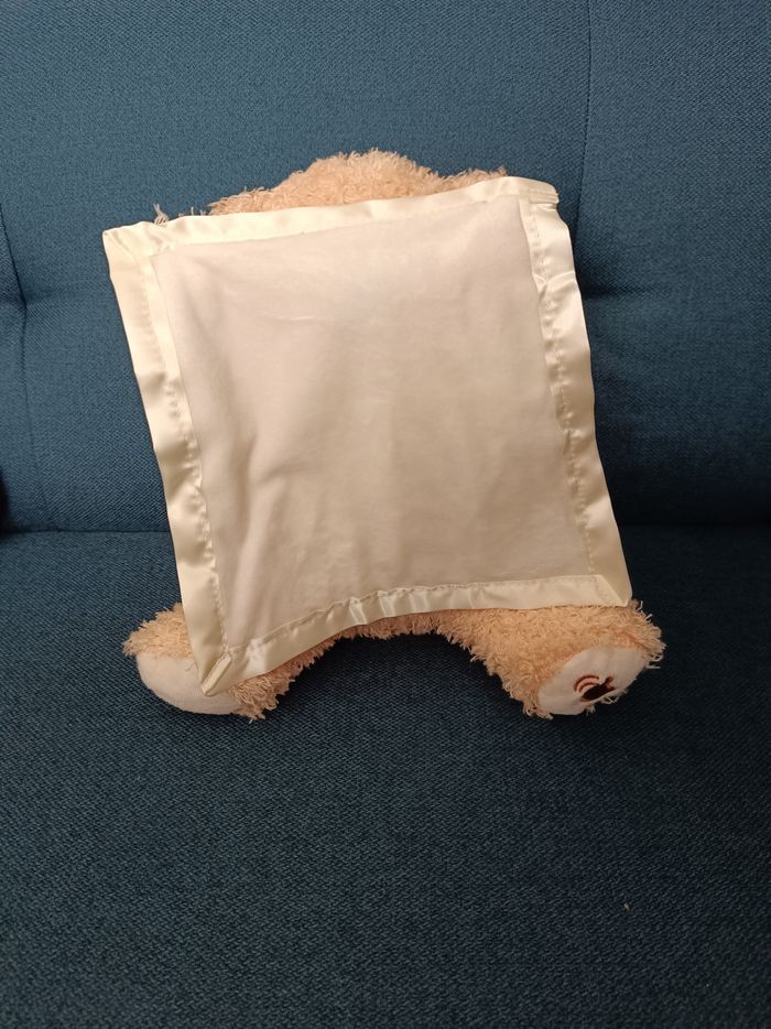 Ours cache cache - photo numéro 2