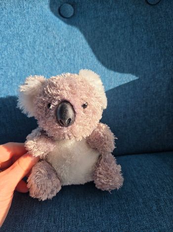Peluche koala beauval
