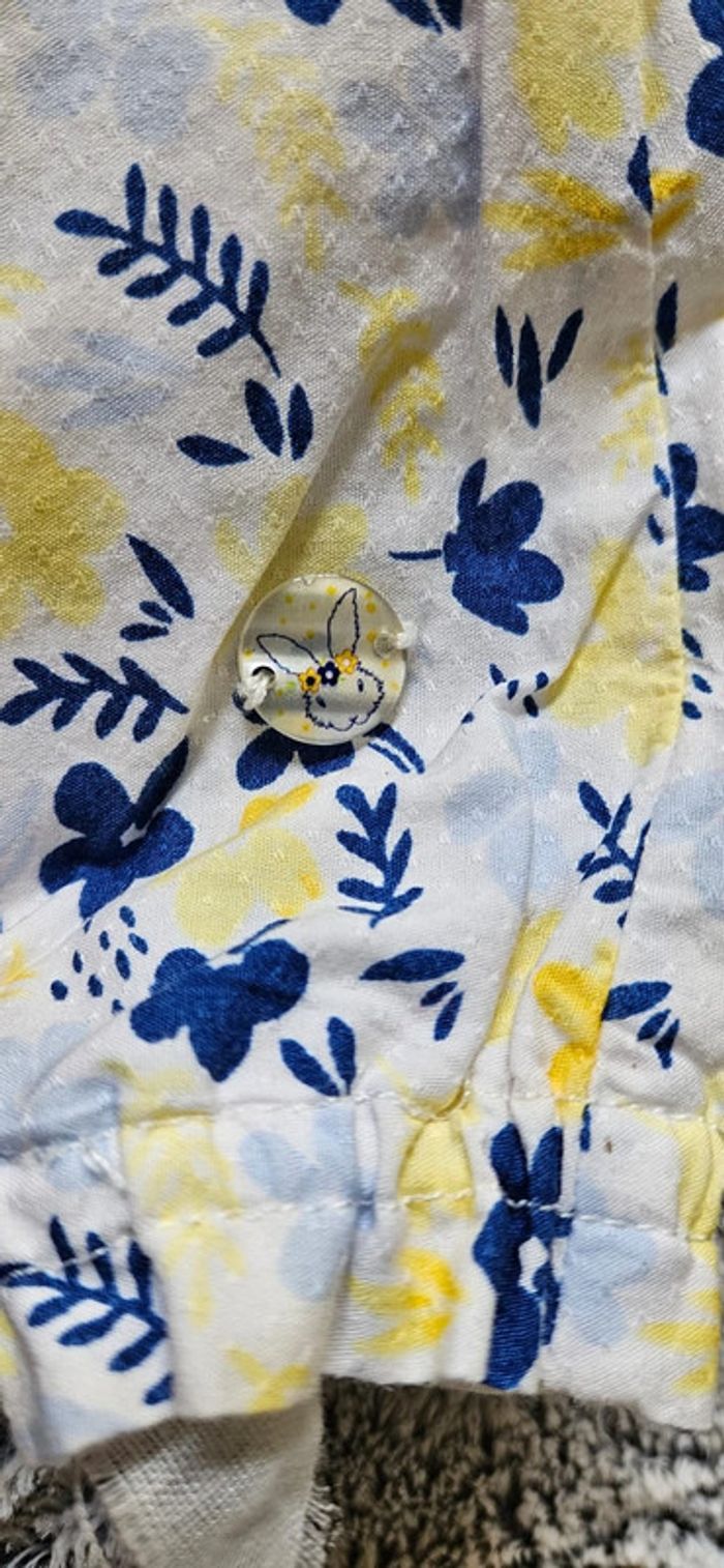 barboteuse sergent major - photo numéro 4