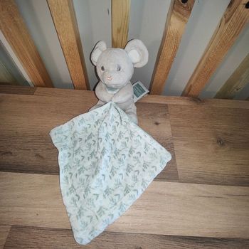 Souris verte doudou et compagnie