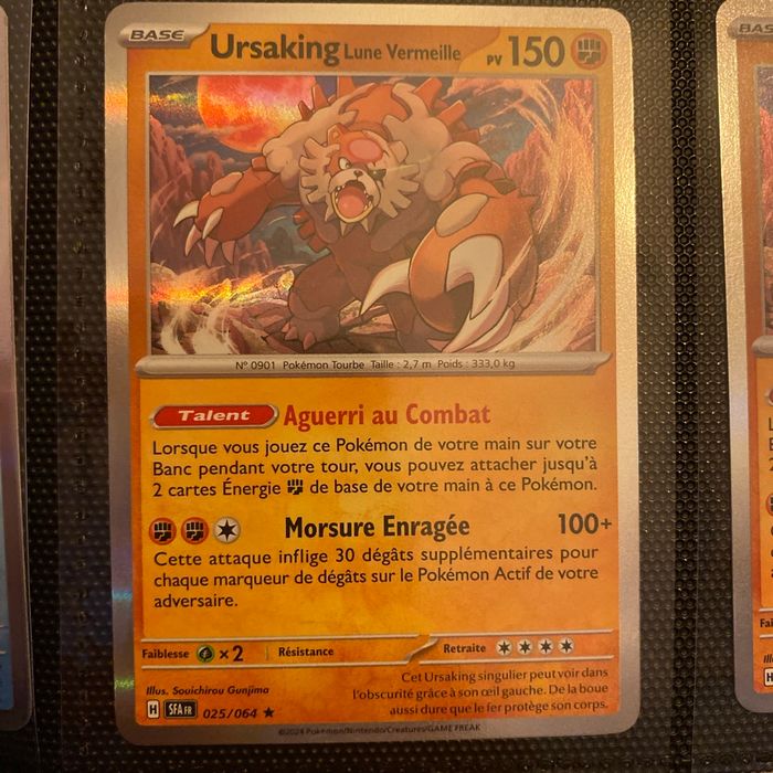 Carte Pokémon holographique  ursaking
