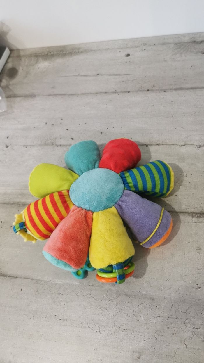 Pieuvre d'éveil - photo numéro 5