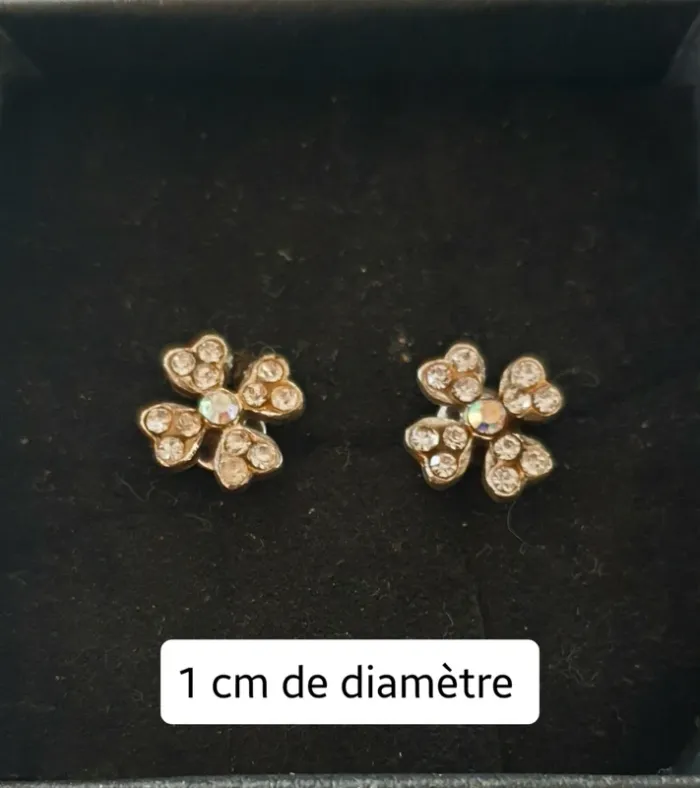 Boucles d'oreilles argentées