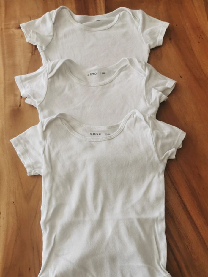 Lot de 3 bodies manches courtes - photo numéro 3