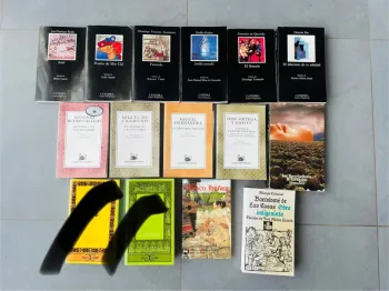 Livres littératures classique et moderne espagnole