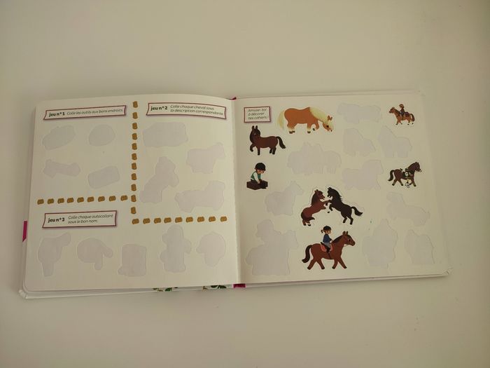 Livre cheval et poney - photo numéro 4