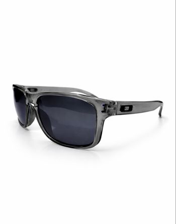 Oakley Holbrook Gris 