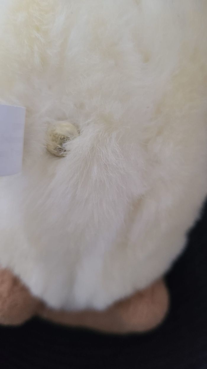 Peluche oiseau dodo WALLY PLUSH TOYS Mauritius beige - photo numéro 2