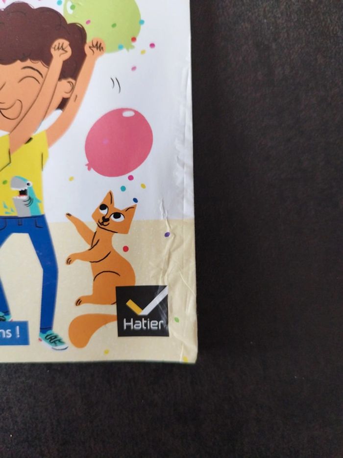 Livre - photo numéro 5