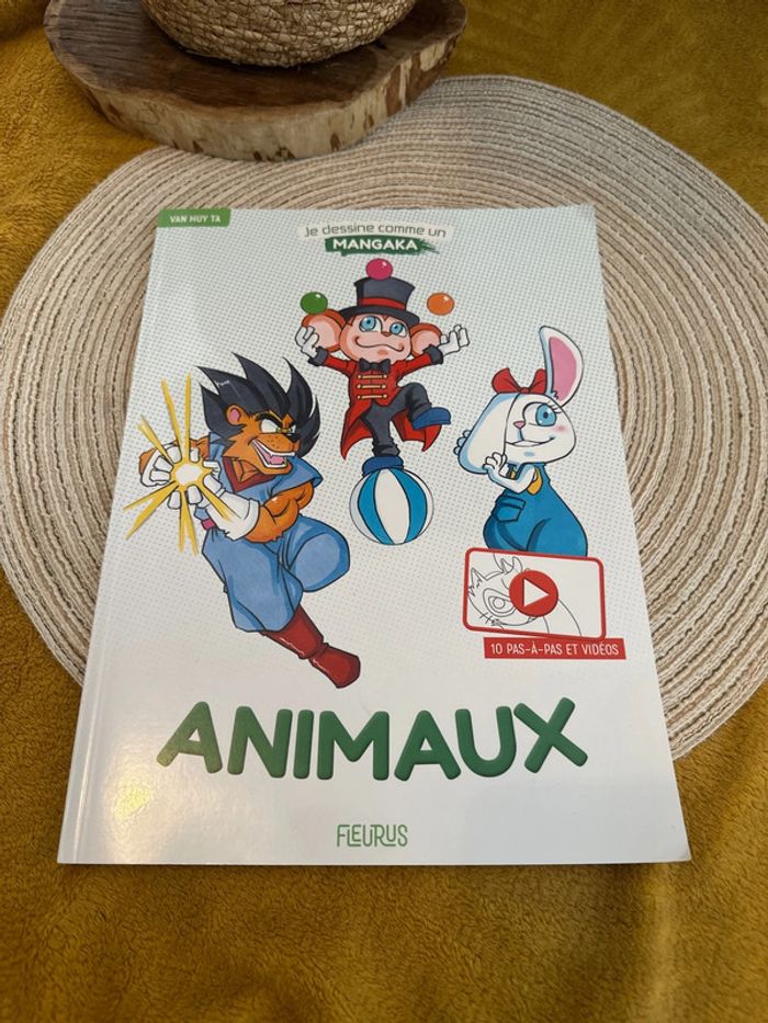 Livre je dessine comme un Mangaka