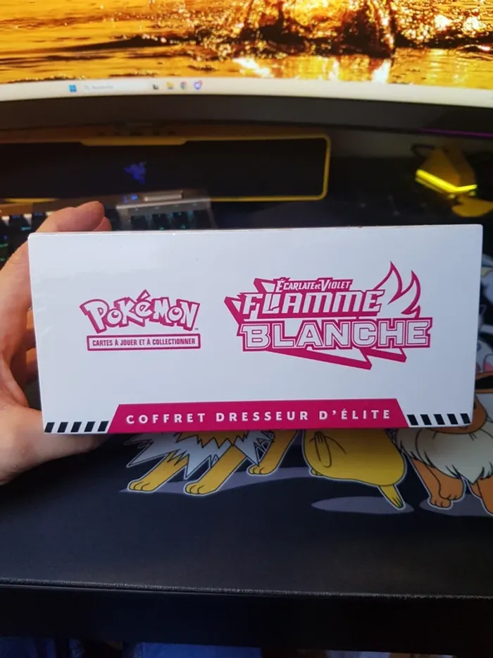 ETB flammes blanches - photo numéro 5