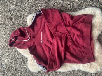 Pull champion homme enfant M bordeaux 