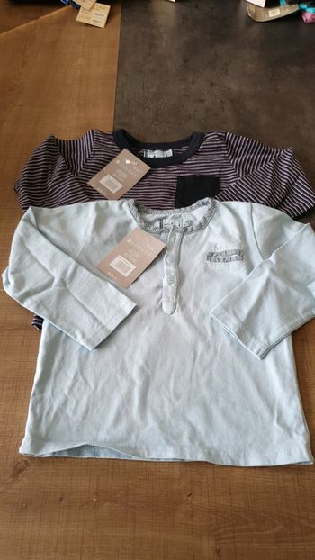 2 t-shirts garçon 100% coton