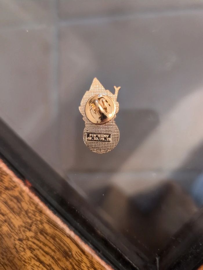 Pin's - photo numéro 2