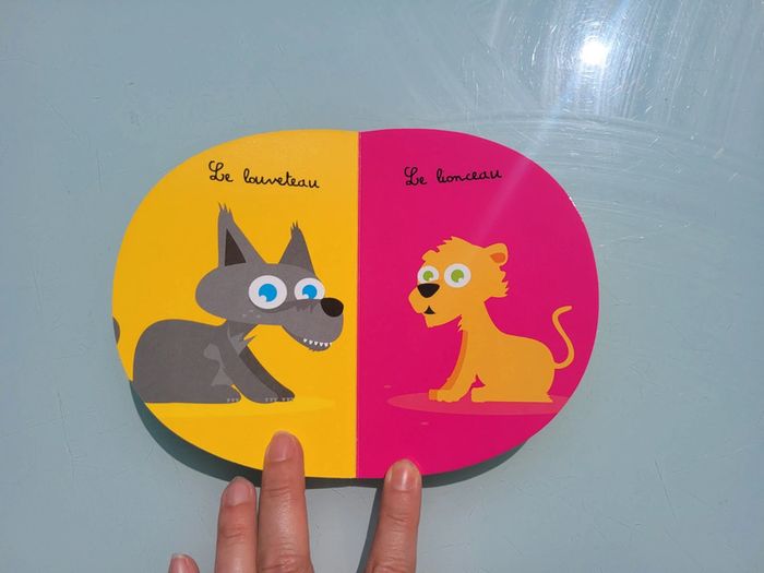 Livre surprise grand format 🦘 Coucou Kangourou ! 🦘 éditions langue de chat - photo numéro 11