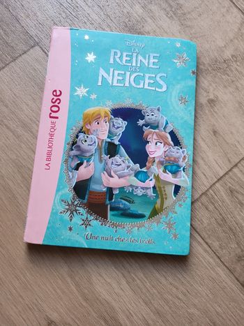 Livre reine des neiges