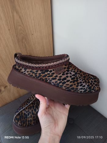 UGG tazz caspian