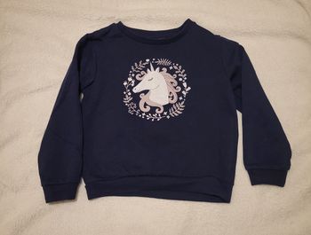 Pull licorne