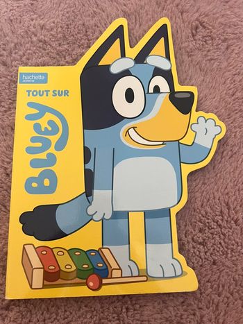Livre tout sur bluey