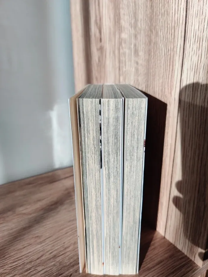 Mangas Le maître magicien Negima ! - tomes 1, 2, et 3 - photo numéro 2