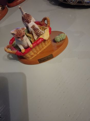 Chat les petits fripons