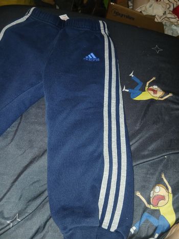 Jogging Adidas 