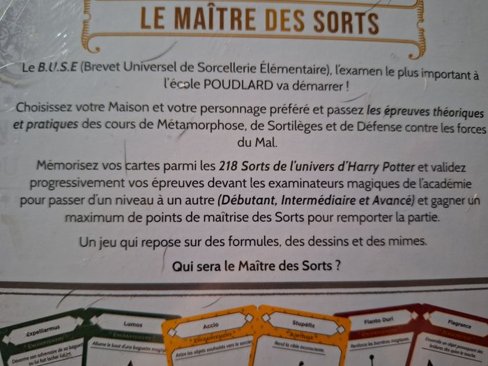Harry Potter - Le Maitre des Sorts - photo numéro 5