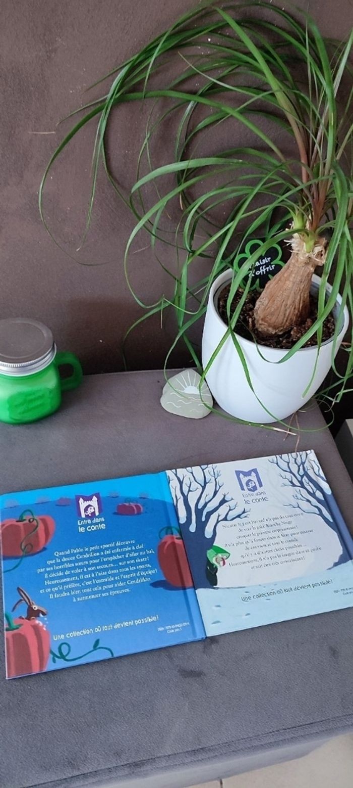 Lot de 3 livres Mc Donald's - photo numéro 2