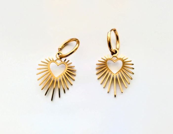 Boucles d'oreilles acier inoxydable et leur boîte - photo numéro 3