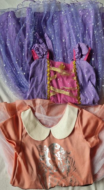 Lot de 2 déguisements princesse taille 5 ans
