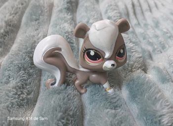 Petshop ecureuil 2694