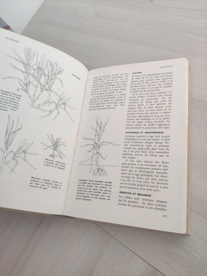 Lot 3 tomes art plaisirs et travaux du jardinage 1967 - photo numéro 11