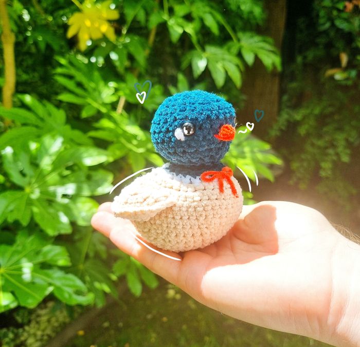 Canard en crochet