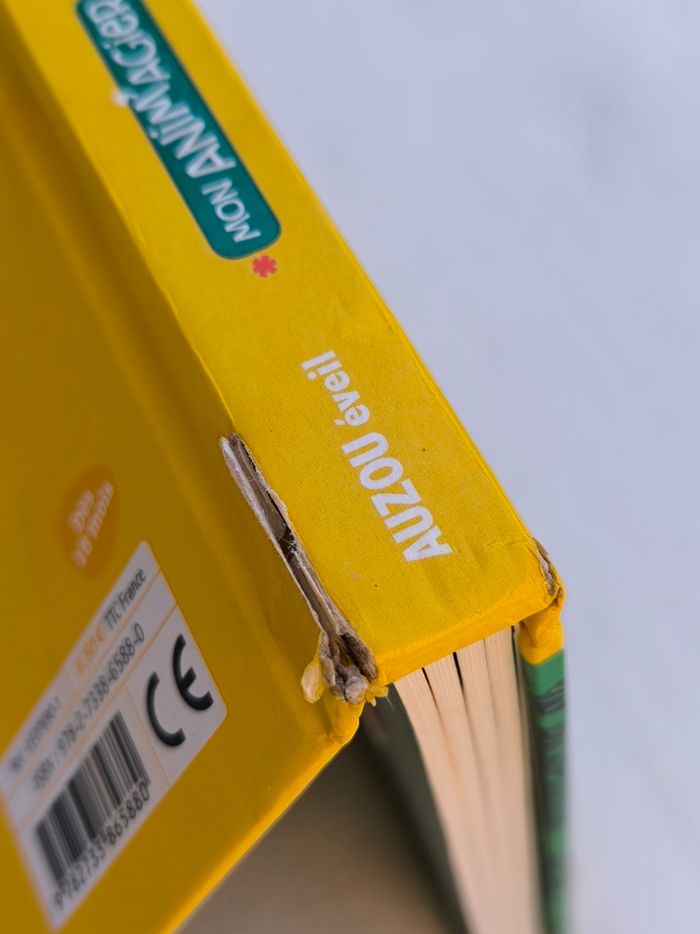 Livre Anim'agier Pâques Auzou - photo numéro 9