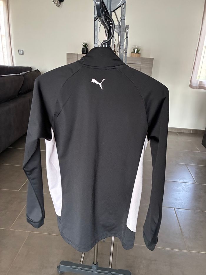 Ensemble puma - photo numéro 7