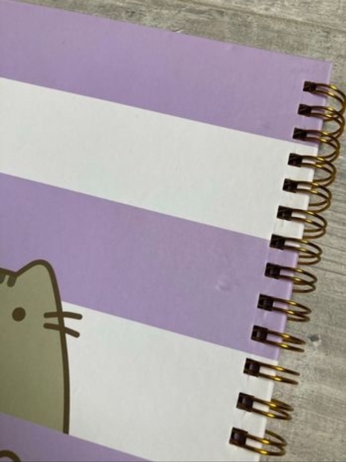 Carnet Pusheen - photo numéro 10