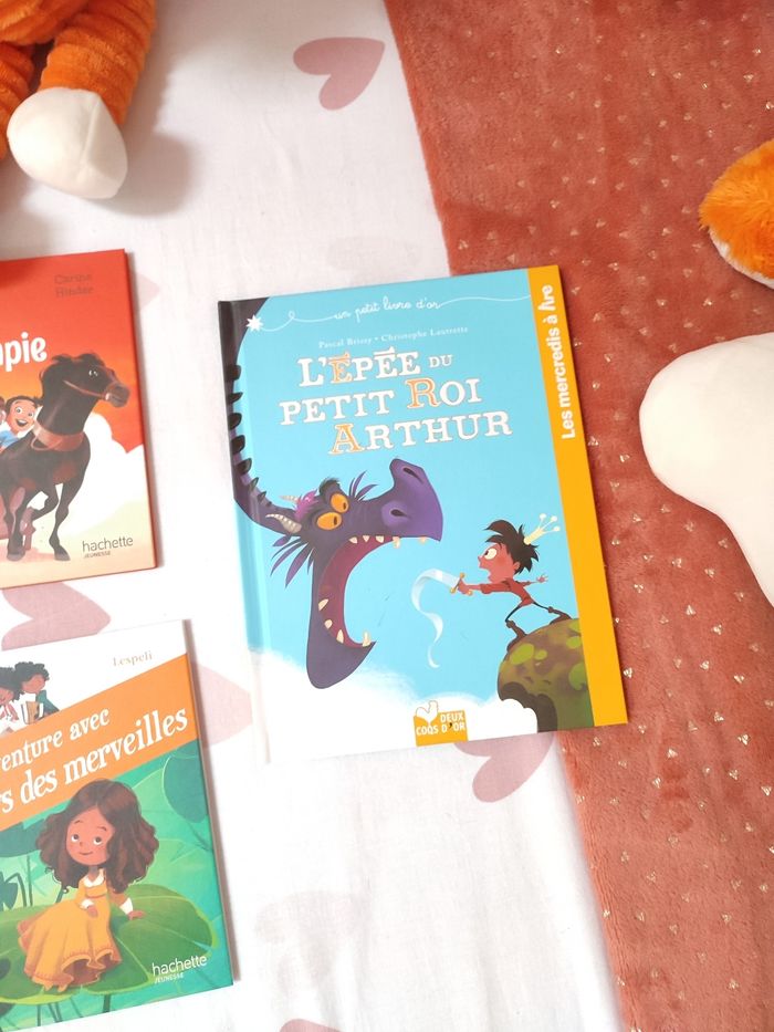 Lot de 5 livres - Hachette Jeunesse - photo numéro 4