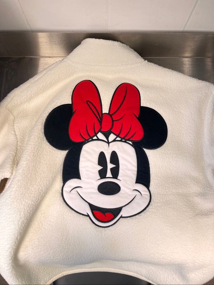 Polaire Mickey fantasia Disneyland M