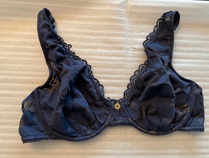 Soutien-gorge bleu Rougegorge