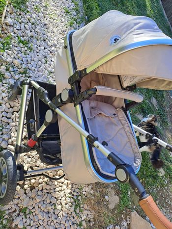 Poussette lora lorelli