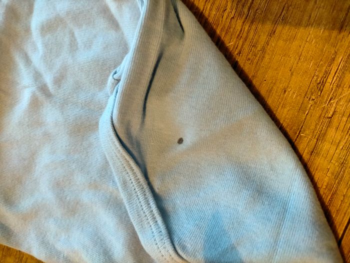 Lot bodies - photo numéro 3