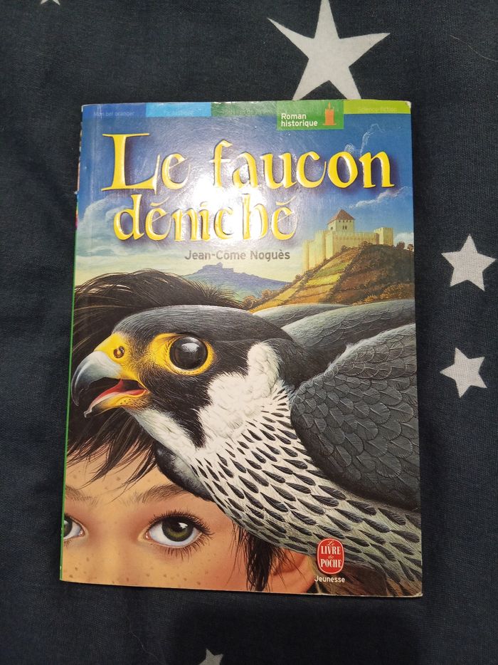 Livre (100) 📚 Le faucon déniché