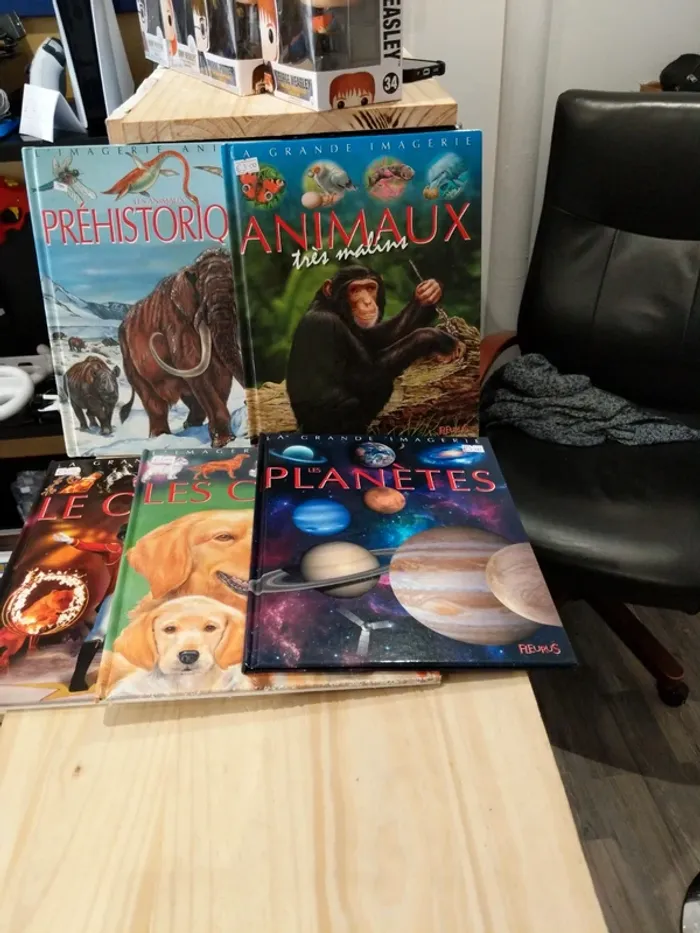 Lot de livres - La Grande Imagerie Fleurus - photo numéro 3