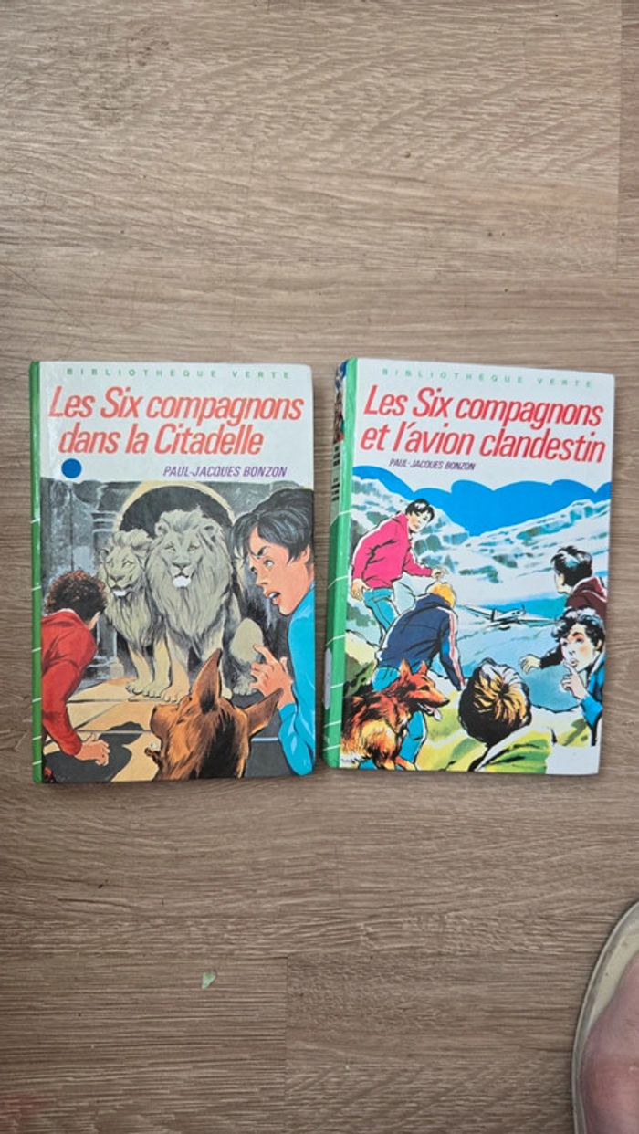 #lot 6 compagnons