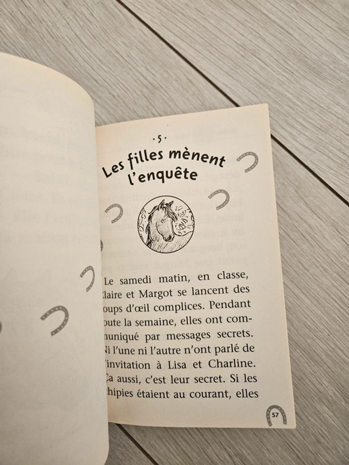 Livre 100% animaux Ombre Le poney secret - photo numéro 3