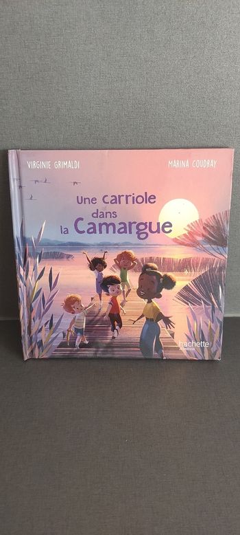 Livre une carriole dans la camargue