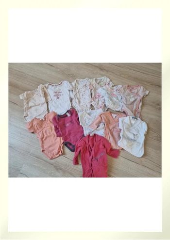 Lot de 12 body