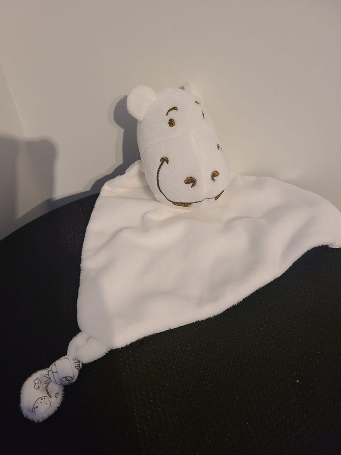 hippopotame - photo numéro 2