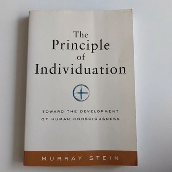 Livre - The Principle of Individuation: Toward the Development of Human Consciousness